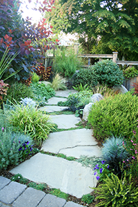 Colorful planting and a stone pathway lead the eye down the through this garden.