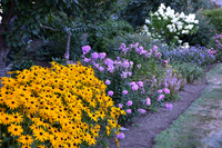 Color abounds in the borders by Nyce Gardens