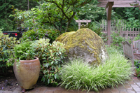 Nyce gardens celebrates a stone erratic in the garden
