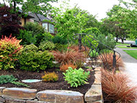 Cedar privacy screen, integrated with the retaining wall, also supports vertical plant material